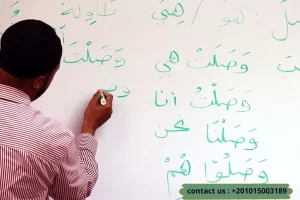  Demonstrative Pronouns in the Arabic Language