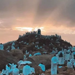 Best surah to read on Arafah